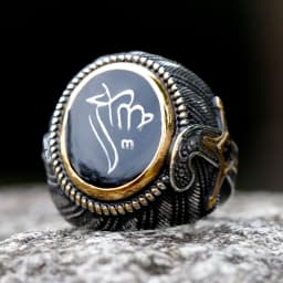 2023 New Unique Design 316L Stainless Steel Turkey Ring Turkish Signet Ring Zircon Stone Ethnic Style Jewelry free shipping