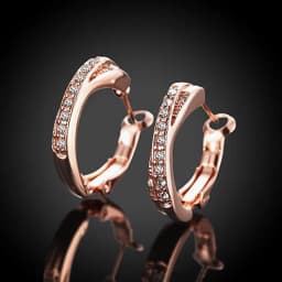 New 925 Sterling Silver Earrings Inlaid Zircon Earrings 14K Rose Gold Earrings For Women'S Charm Jewelry Gift