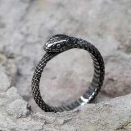 2023 NEW Men's 316L stainless-steel rings Viking Snake head animal Amulet RING for teens fashion Jewelry Gifts free shipping