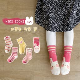 5 Pairs Kids' Floral Crew Socks Toddler Girls Socks Spring Autumn Flower Embroidery Breathable Kids Socks