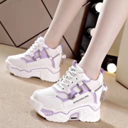 Trendy Interior Height Increasing Vulcanized Women's Shoes 2024 Autumn Style Simple Casual Sports High Heels Women's Dad Shoes