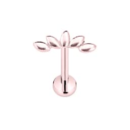ASTM F136 G23 Titanium Flower Petals Labret Threadless Piercing Round CZ Pin Push in Lip Stud Daith Conch Earring 16G 18G 20G