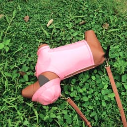 Purses and handbags For Women Designer Leather crossbody shoulder bag Purse Cute dog shape Evening Party bag Women's bag