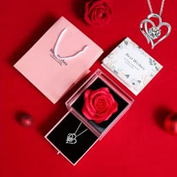1 Set Elegant Plastic Preserved Rose Gift Box with Heart-Shaped Necklace, Ideal for Valentine'S Day, Mother'S Day, Birthday