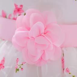Baby Girls 1 Year Birthday Princess Party Flowers Baptism Dress Infant Embroidery Floral Sleeveless Costume Newborn Kids Clothes
