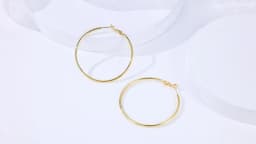 Eavva Women 14K Gold Plated Hoop Earrings Lady Classic Thin Hoops with 925 Sterling Silver Post Fashion Jewelry with Gift Box
