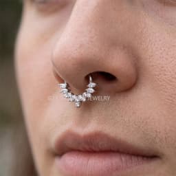 ASTM F136 Titanium EAR PIERC Nose Ring Teeth Tip CZ Ring Hoop Nose Rings Hinged Clicker Earring Ring factory Body Piercing