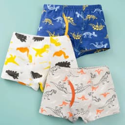 3/6 pcs Boys Boxer Briefs Sets 2026 New Kids Cotton Underwear Boy Underpants Teenager Cartoon Dinosaur Print Children Panties