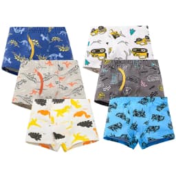 3/6 pcs Boys Boxer Briefs Sets 2026 New Kids Cotton Underwear Boy Underpants Teenager Cartoon Dinosaur Print Children Panties