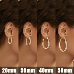Eavva 14K Real Gold Plated Hoop Earrings For Women Lady Luxury Cubic Zirconia Chunky Earring Popular Jewelry Commemorative Gift