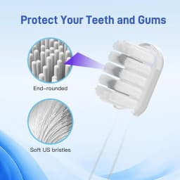 10 Pcs/Pack Replacement Toothbrush Heads For Laifen Wave Electric Toothbrush, For Sensitive Gum Care , Transparent