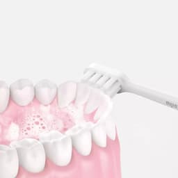 Original Mijia Sonic Electric Toothbrush T200 Type-C Charging IPX7 Water Proof Antibacterial Bristles Xiaomi Toothbrush