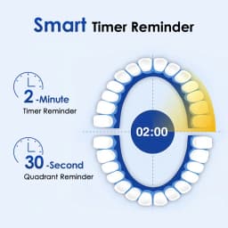 Rotating Electric Toothbrush Set for Adult Teeth Whitening Teeth Brushes 3D Round Head Soft Brush Type-C Electric Toothbrush
