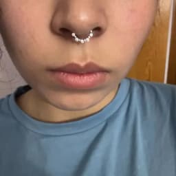 ASTM F-136 Titanium EAR Nose Ring PIERC CZ Surround Segment Ring  Hoop Face Hinged Clicker Labret Ear wheel Cartilage Piercing