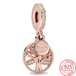 Exquisite 925 Sterling Silver Dragonflies&Earth&Ladybugs&Keys&Shells&Flowers Charm Fit Brand Bracelet Ladies DIY Jewelry