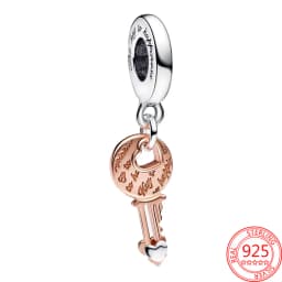 Exquisite 925 Sterling Silver Dragonflies&Earth&Ladybugs&Keys&Shells&Flowers Charm Fit Brand Bracelet Ladies DIY Jewelry