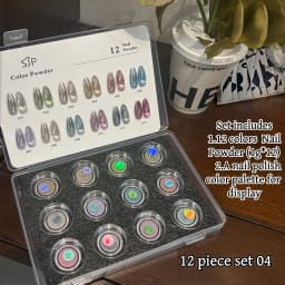 High-End Nail Art Set, 24 Colors Moonlight Mirror Powder Kit, Ultra-Fine Glitter, Japanese Style, Perfect for All Occasions