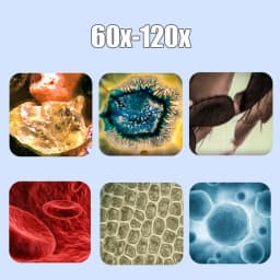 4PCS Mini Pocket Microscope Kit 60X-120X Handheld Microscope with LED Light for Kids