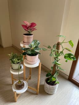 4 Tier Plant Display Shelf Stand Bamboo Plant Pot Holder Tall Flower Stand Rack