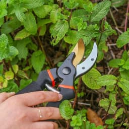 Secateurs Snips Pruning Cutting Shears Japanese Steel Blade Gardening Shears