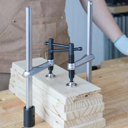 Allsome 2pcs Inserta Clamps, Fits 16 mm Holes, 160mm Capacity, 80mm Throat Depth, 136 kg Clamping Pressure, 16mm x 8mm Rail Size