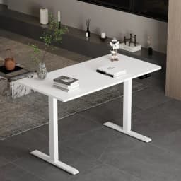 Mchars Standing Desk Electric Height Adjustable with Memory Preset Sit Stand up Desk 120x60cm Home Office Computer Desk with T-S