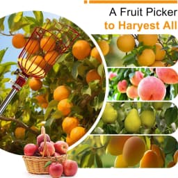 Fruit Picker Pole Tool with Basket 4M Telescoping Long Handle Fruit Grabber Tool
