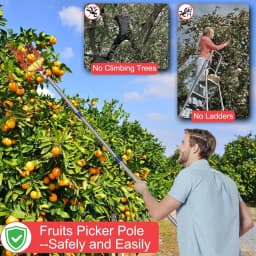 Fruit Picker Pole Tool with Basket 4M Telescoping Long Handle Fruit Grabber Tool