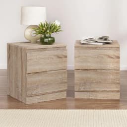 2 Piece Oak Bedside Table with 2 Drawers Modern Nightstand for Bedroom Storage Furniture