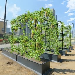 U-Shaped Metal Garden Trellis|flower stand|plant rack|plant shelf, for Climbing Plants, Outdoor Plant Support Frame