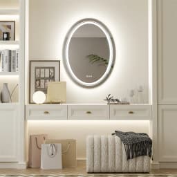 LUVODI Dual Illuminated Oval LED Mirror for Bathroom Shower Shaving,3 Color Temperature Options,Washroom Bedroom Makeup Mirror