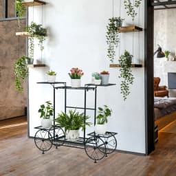 Garden Cart Stand Flower Pot Holder Display Rack Home Plant Stand - Multi-Functional Garden Storage Organizer