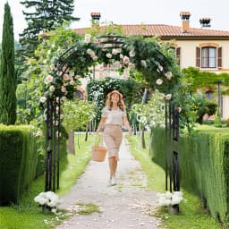 Rose arch Rankhilfe garden Climbing aid Rose trellis Garden archway 215cm