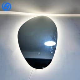 Factory Direct Sales Modern LED Bathroom Mirrors Touch Switch Magnifying Aluminum Alloy Frame Special-Shaped Apartment