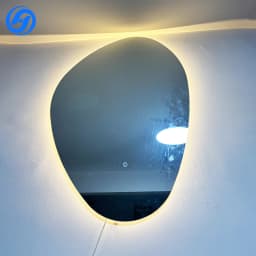 Factory Direct Sales Modern LED Bathroom Mirrors Touch Switch Magnifying Aluminum Alloy Frame Special-Shaped Apartment