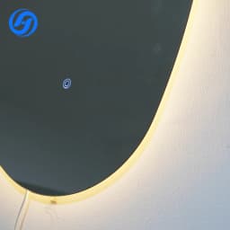 Factory Direct Sales Modern LED Bathroom Mirrors Touch Switch Magnifying Aluminum Alloy Frame Special-Shaped Apartment