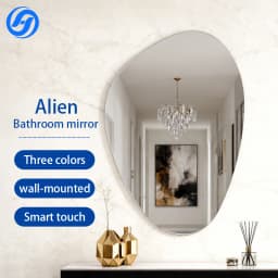 Factory Direct Sales Modern LED Bathroom Mirrors Touch Switch Magnifying Aluminum Alloy Frame Special-Shaped Apartment