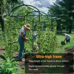 U-Shaped Garden Trellis Plant Climbing Frame for Climbing Vegetables And Flowers Metal Greenhouse Support Frame
