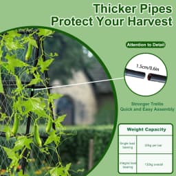 Metal A-Shaped Plant Vegetable Climbing Trills Garden Flower Arch Trellis with Nylon Netting