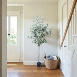 Artificial Eucalyptus Tree-Decoration For Halloween,Christmas,Wedding & Living Room. Bedroom, Office Desk, Modern Space & Events