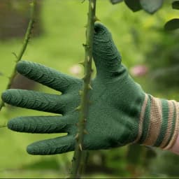 Gardening Gloves Thorn Proof Protection Glove Waterproof Rose Gloves Garden Gloves for Cactus Rose and Blackberry for Women/Men