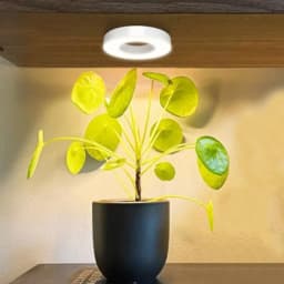Full Spectrum Ceiling Grow Light 4 Dimmable Levels LED Plant Light Height Adjustable Under Cabinet Plant Lamp for Small Plants