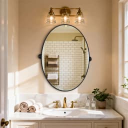 LUVODI Tilting Bathroom Mirror: 20”x28” Oval Black Pivot Mirror Wall Mounted Vanity Mrror