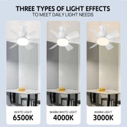 40W Ceiling Fan E27 Socket Fan with Dimmable LED Light & Remote Controller