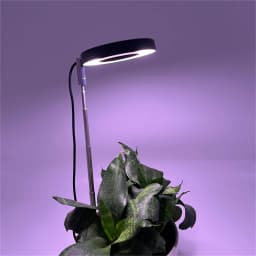 Full Spectrum Plant 48 LED UV Grow Light Veg Lamp For Indoor Hydroponic Plant