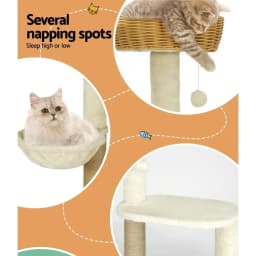 138cm Multi Level Cat Tree Scratch Post Wooden Bed Condo House Rattan Ladder Indoor Cat Activity Center