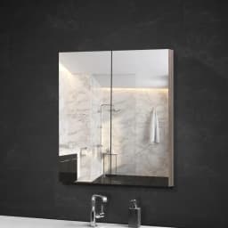 Bathroom Mirror Cabinet 600x720mm Oak Wall Mounted Bathroom Storage Cabinet with Mirror Door Modern Vanity Organizer