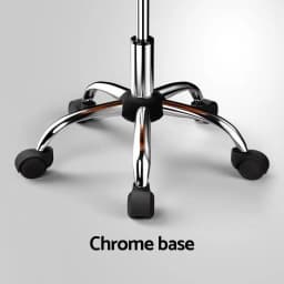 Salon Stool Swivel Chair with Backrest Adjustable Height Rotating Seat Beauty Salon Barber Shop Spa Tattoo Equipment Furniture