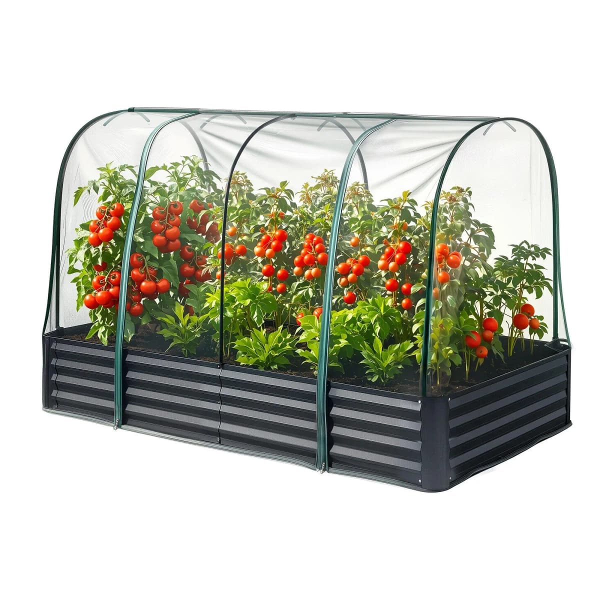 Galvanized Raised Garden Bed with Mesh Netting Outdoor Planter Box Bird Proof 180x90x120cm