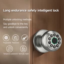 ICCSSI Spherical Lock Tuya Smart Lock Digital Electronic Lock Unlock Fingerprint/Password/Key/Bluetooth for Airbnb Home K10CPLUS